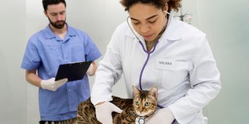 Unlocking the Power of the Law of Attraction