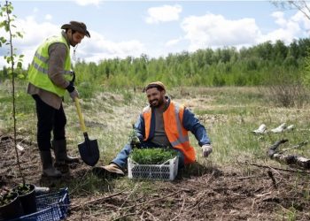 Exploring the Multifaceted Role of Farm Ponds in Modern Agriculture