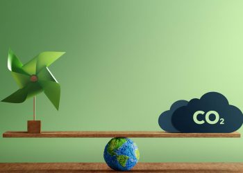 What is the Difference Between Carbon Neutral and Net Zero?