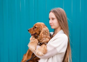Dogs for Sale