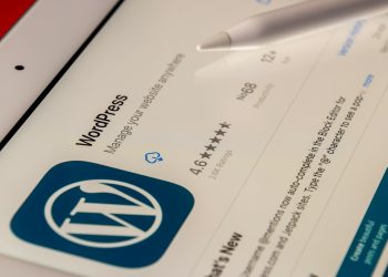What are the 25 best WordPress plugins ?