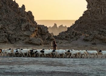 Djibouti’s Hidden Gems: Exploring with an E-Visa