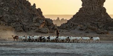 Djibouti’s Hidden Gems: Exploring with an E-Visa