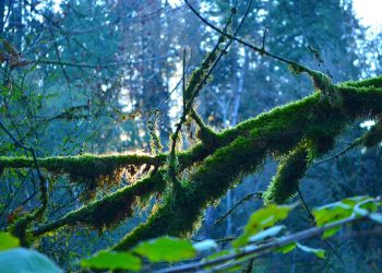 Madison’s Most Instagrammable Spots: Capture the Perfect Picture