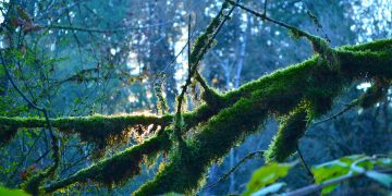 Madison’s Most Instagrammable Spots: Capture the Perfect Picture